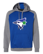 Load image into Gallery viewer, TriBlend Fleece Hoodie
