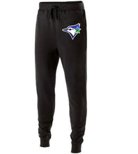 Load image into Gallery viewer, Fleece Joggers
